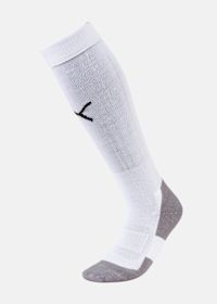 Team LIGA Socks CORE