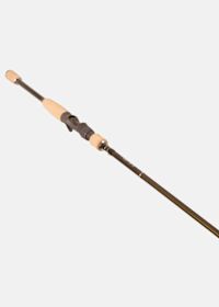BFT Roots G2 7,6' H, Bayonet -