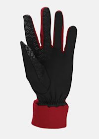 Thermal Multi Gloves