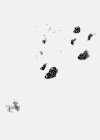 UA Vibe Woven Jacket