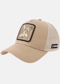 Looney Tunes Wile E Coyote Bei