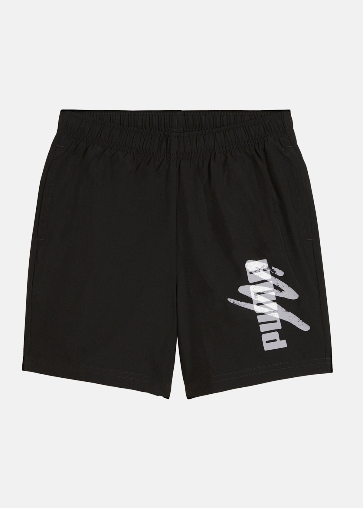 ESS+ LOGO LAB Woven Shorts 5