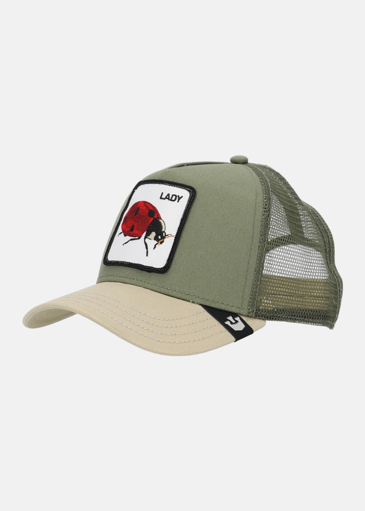 The lady bug