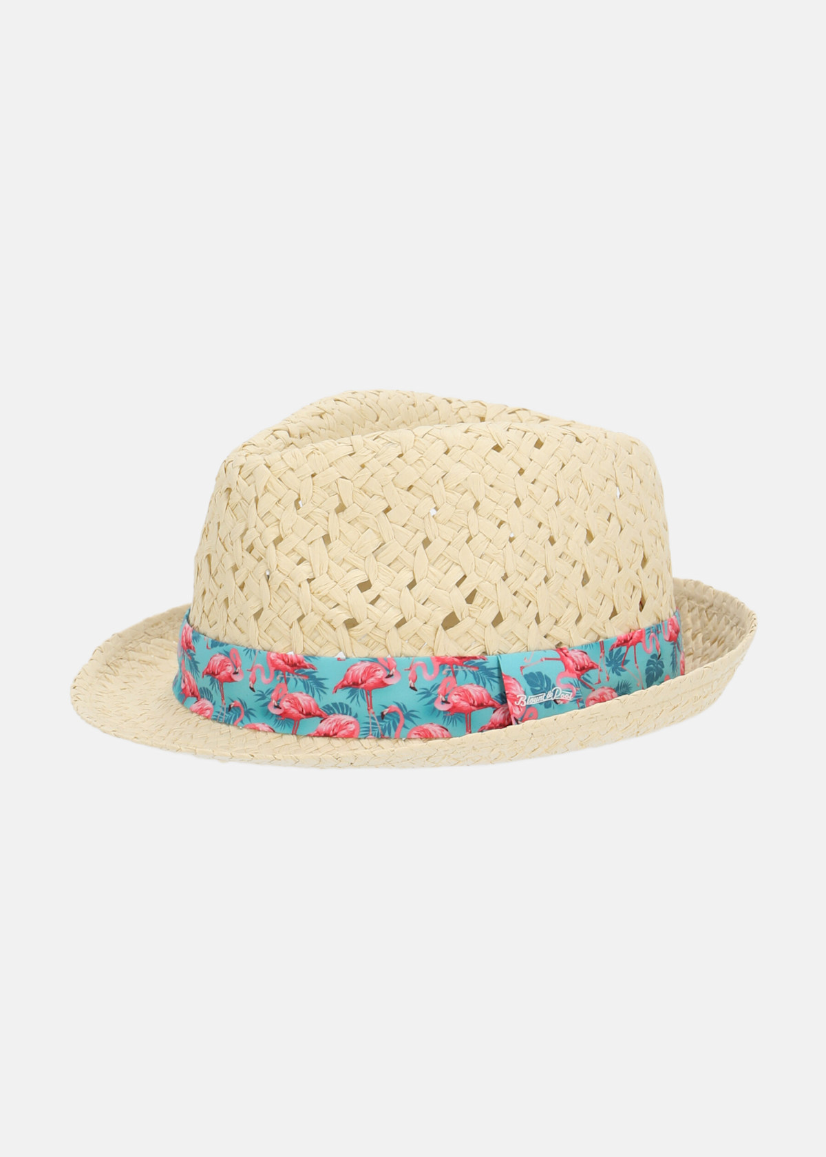 Beach Hat