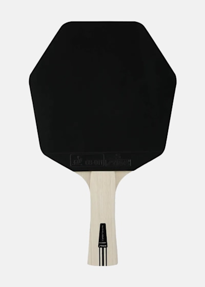 Bat Cybershape Hobby