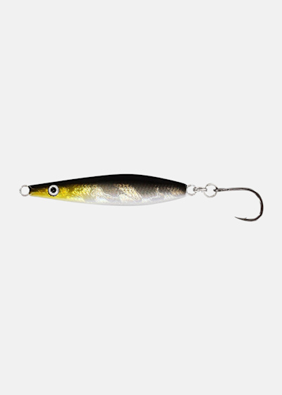 SALTY JIG